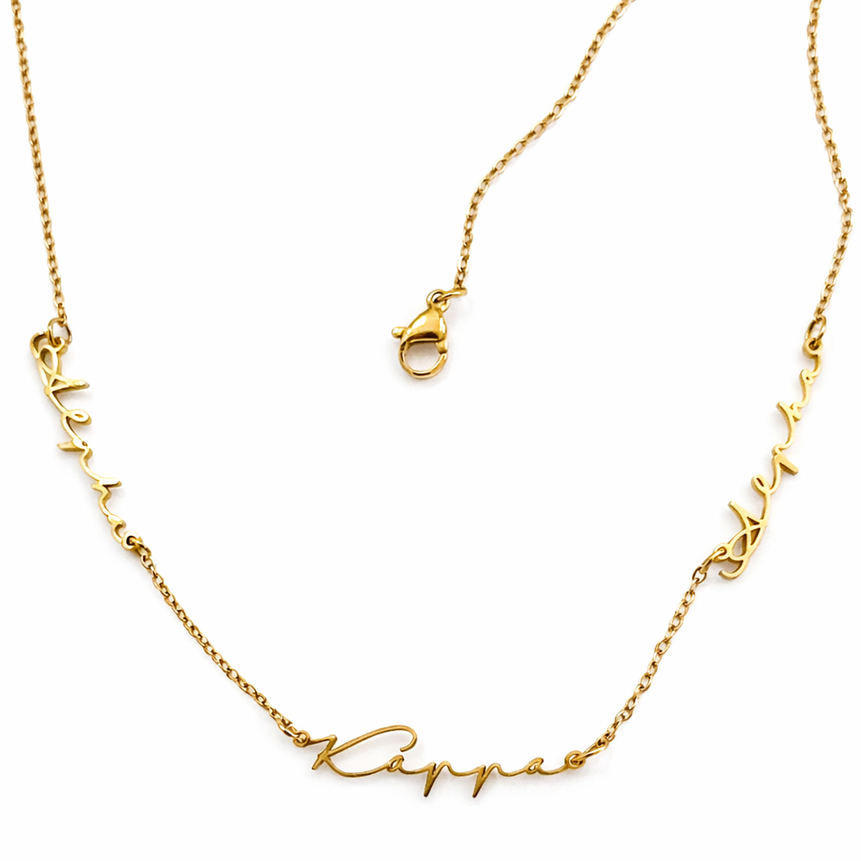 Signature Alpha Kappa Alpha Stainless Steel Necklace