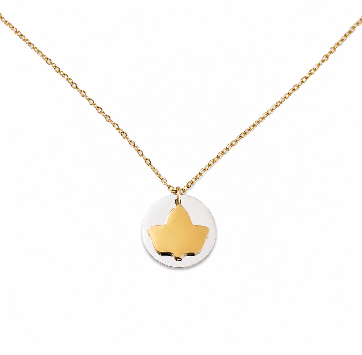 Gold necklace, round silver charm with gold ivy on a white background.