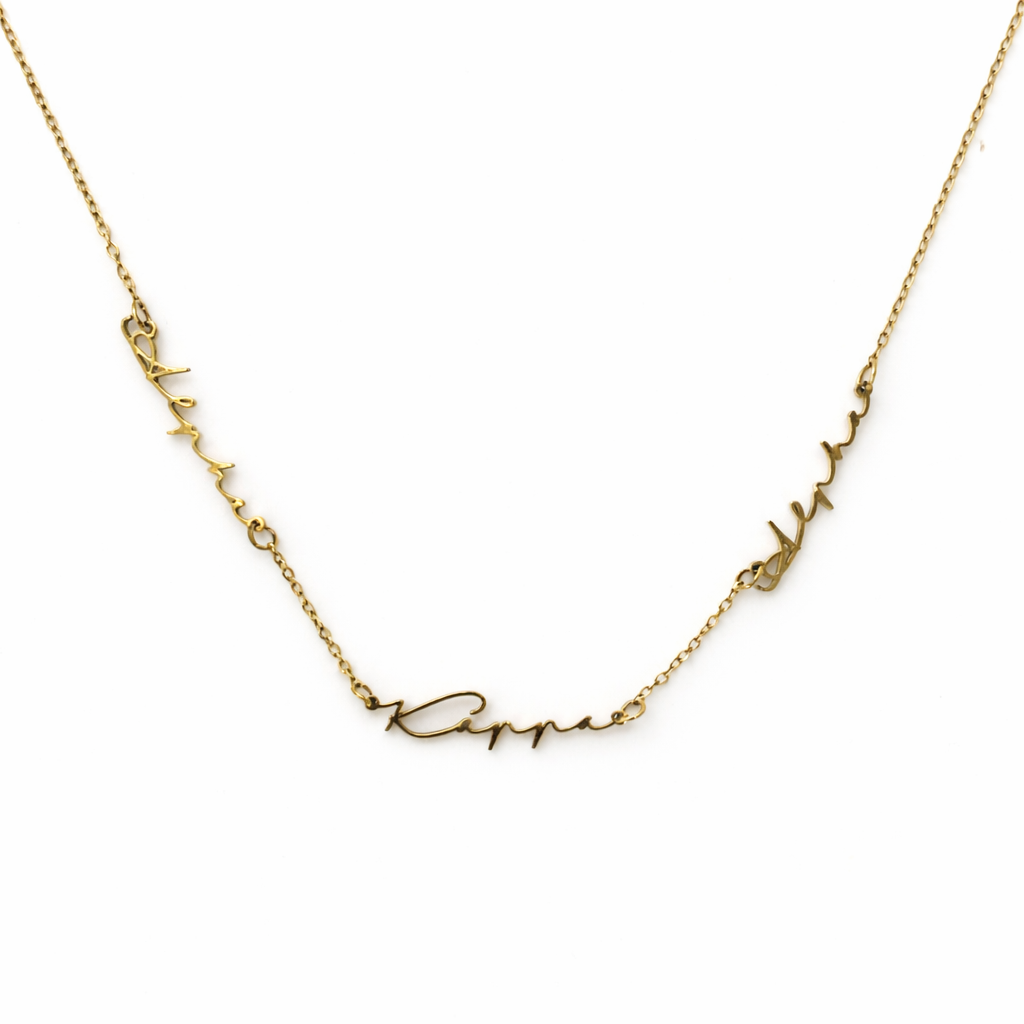 Signature Alpha Kappa Alpha Stainless Steel Necklace
