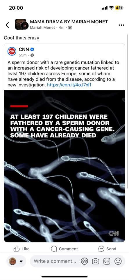 AKA Shield Ornament – A Timeless Holiday Treasure